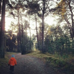 aunik:  Follow the orange #tallinn #estonia