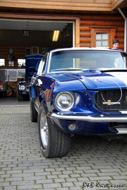 ford-mustang-generation:  ´67 GT-350 Tribute