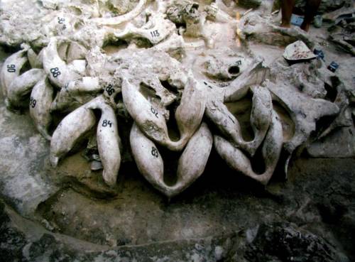 Mammoth bones used in the construction of a house at Mezchyrich (Ukraine)