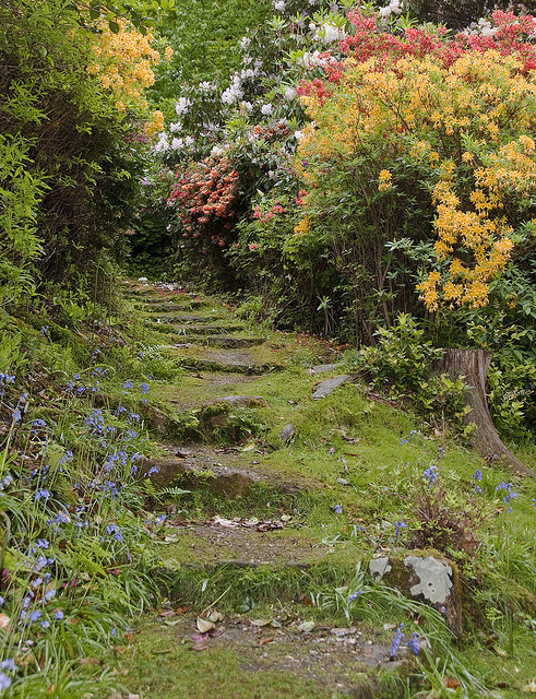 Leonardslee Gardens in West Sussex, England (by Chris. P).