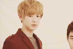 oh-luhans:EXO-K models for Ivy Club