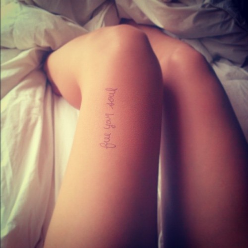 nemesy.s