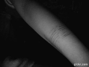 bodybones:  oh.. 