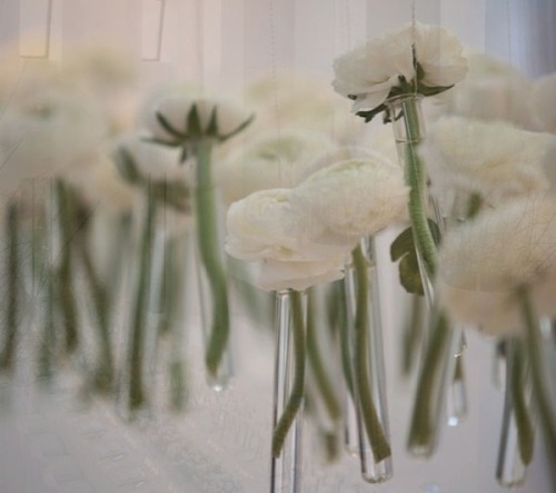 Floating Flowers Wedding Venue