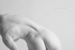 philipwernerfoto:   White porcelain #2 Model: