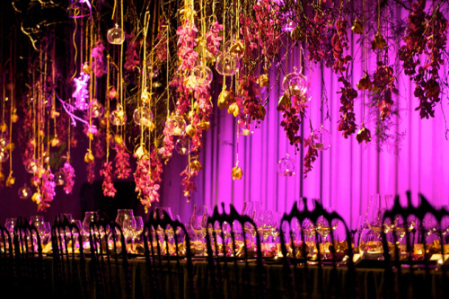 Purple Colored Wedding Venue: Decorated with drapes lighted with purple uplights, along with hanging