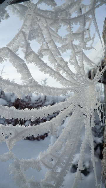 asiwaswalkingallalone: Cold December Morning by Jim Frost on Flickr. 