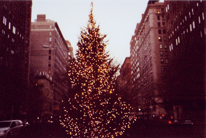 nonamesareleft:  (by xixi cao) 