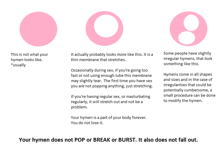 itscandidlycara:  A quick visual guide to the hymen.  Yay, diagrams! Also, see a