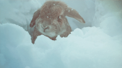 Прекрасное – ммм…тейсти on We Heart It. http://weheartit.com/entry/42759047