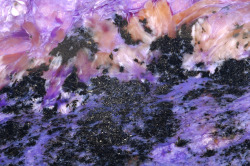 fuckyeahmineralogy:  mineralia:  Charolite