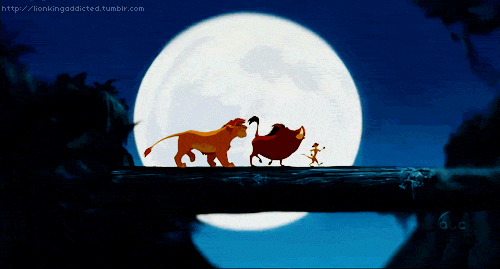 lionkingaddicted:  hakuna matata ..hakuna matata.. hakuna matata! 