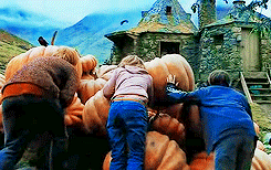 misguidedpatronus:  “Happiness can be found, even in the darkest of times. If only