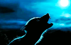 misguidedpatronus:  “Happiness can be found, even in the darkest of times. If only