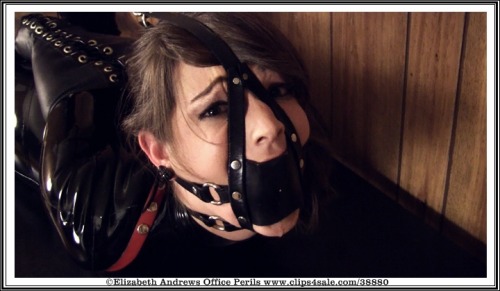 elizabethandrews:  Sneak Peek at tonight’s update - www.clips4sale.com/38880 