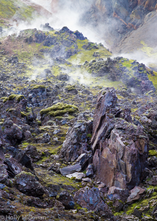 Landmannalaugar, Iceland (by Holly Hickman SF)