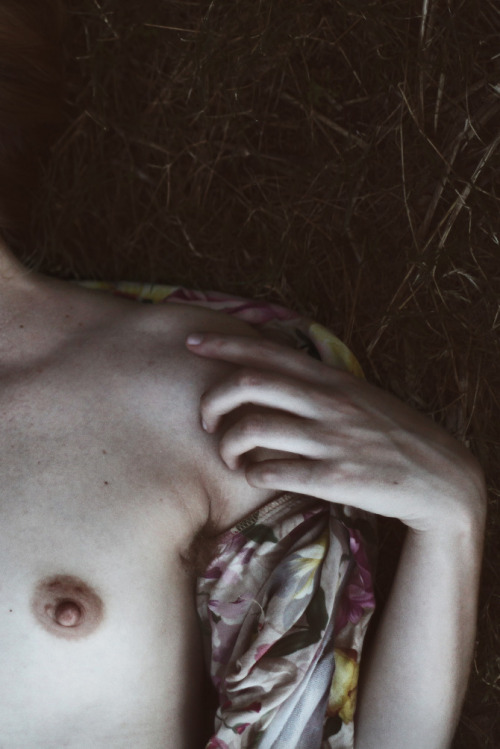 nettierharris:  Nettie Harris by Jessica Tremp violet louisiana 