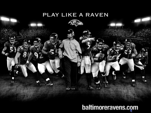 Porn baltmore-ravens:  Baltimore Ravens.  photos