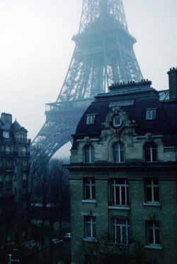 rushings:  Paris <3