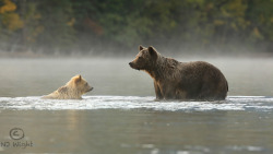 Magical Nature Tour