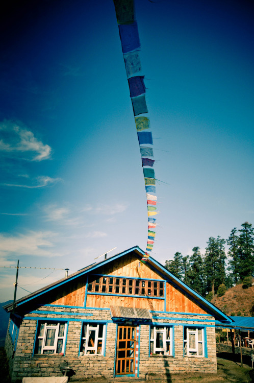 Buddhist prayer flags strung from Hotel Red Panda in Sing Gompa, Rasuwa, Nepal. Photography by Brook