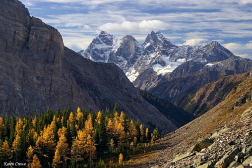 Goodsir Towers from Odaray Prospect trail, British Columbia, Canada (by weekends_with_marmots).