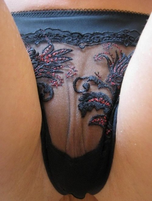 I want to see your panties
