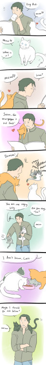bleedingliar24: Felines. by *Colours07 This amuses me too much.