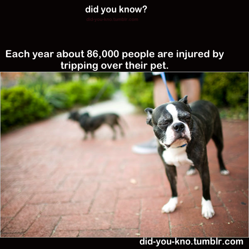 did-you-kno:  Source