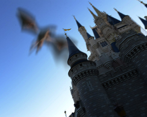 Believe In Fantasy