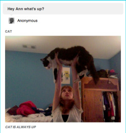 megsalittlelost:  tinselbowietree:  thegeekyblonde:  the saga continues   oh my god, ann what is going on with this post  this is always going to be funny 