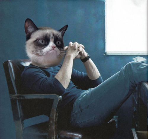 ramblingsofanurbanjawn:  buzzfeed:  Definitive proof that Jeremy Renner is just Grumpy Cat.  Goddammit Tumblr.  
