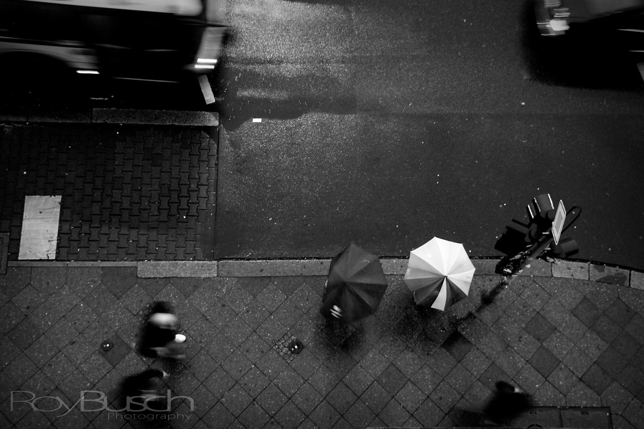 Roy Busch Photography