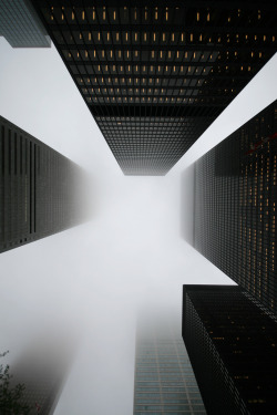 Creaturesgold:  Bank Towers In The Fog And Rain, Toronto (By Tony Lea) 