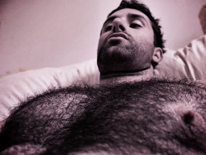 succumbere:  furry nips