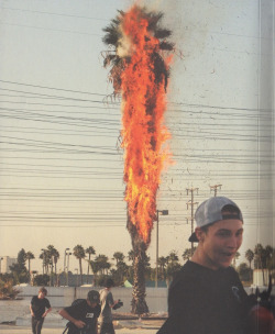 tristencayton:  The tree accidentally burned