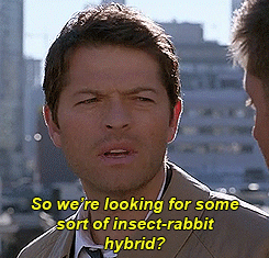 laurnami:  pineappledean:   I love you   