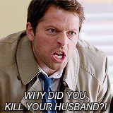 tardis-impala:  best of castiel in 8.08 hunteri herioci. 
