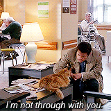 tardis-impala:  best of castiel in 8.08 hunteri herioci. 