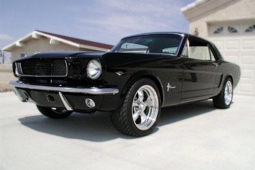 Ford Mustangs