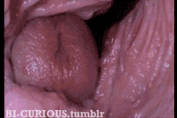 Surprisingly hot view of a cream pie.