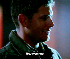 princesschester:  Awesome. 