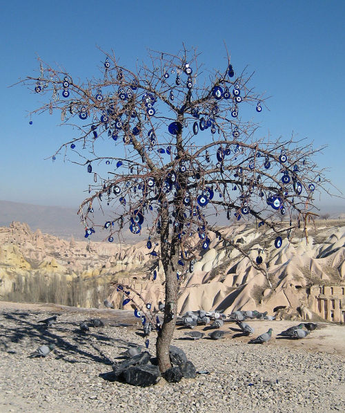 againstagamemnon: A tree in Turkey, adorned with Nazars; charms designed to ward off the ill effects