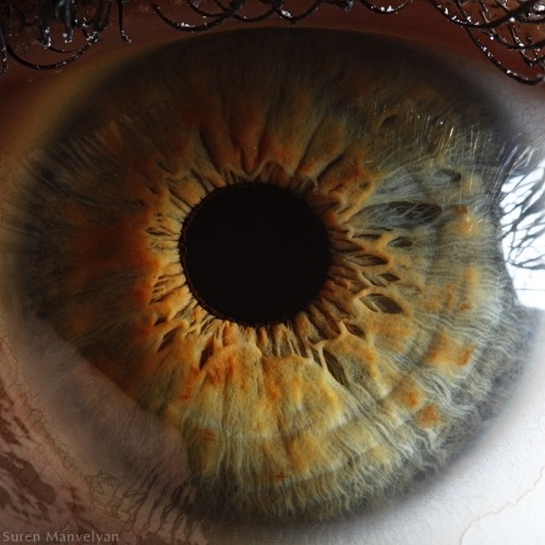 showslow:  Suren Manvelyan, Macro photography of the human eye. 