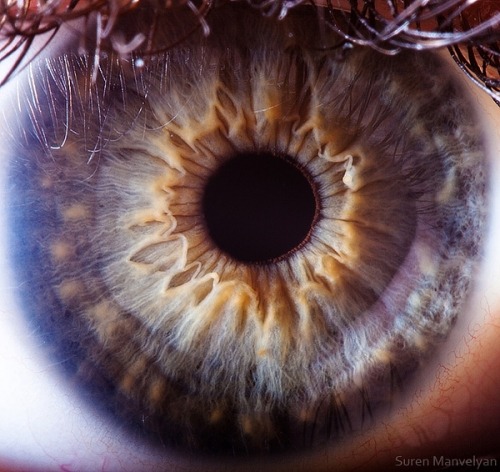 showslow:  Suren Manvelyan, Macro photography of the human eye. 