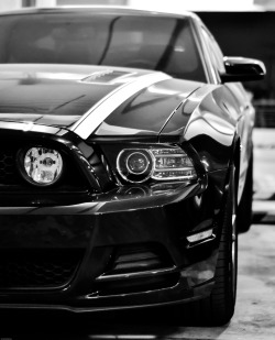 fuckyeahfordmustangs:  kodakansalansangan: