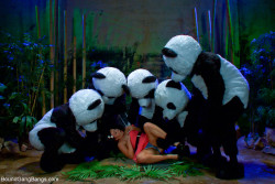 begforsomepegging:  Panda love? 