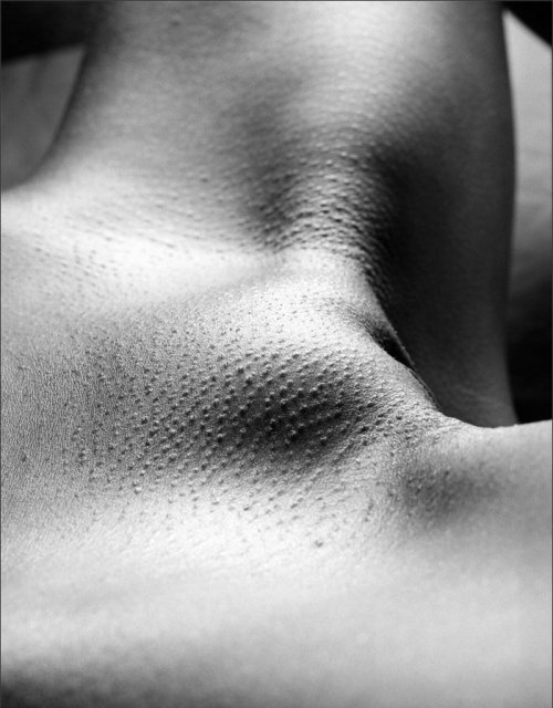 http://pornartporn.tumblr.com/post/106967845349