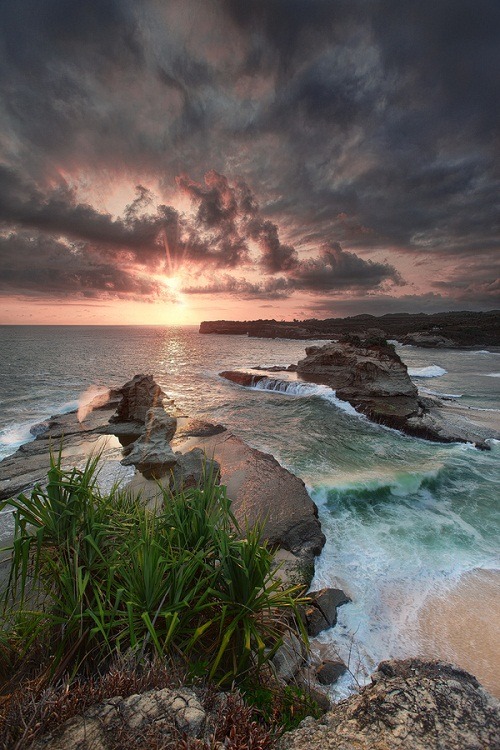 alecsgrg:  By:Afriandi 