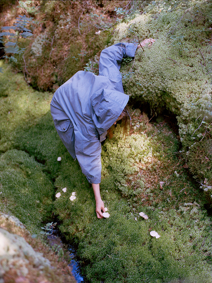 osmaharvilahti:  Mushrooms, Wilder Quarterly, Fall 2012 